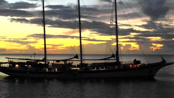 Vliegen weg van grote zeilboot Videoclip