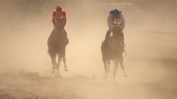Video Hästkapplöpning — Stockvideo