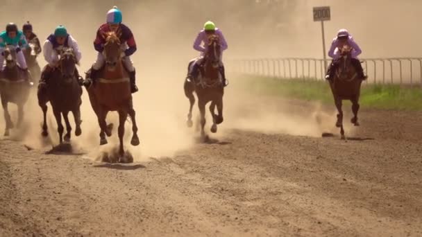Vídeo Corridas Cavalos — Vídeo de Stock