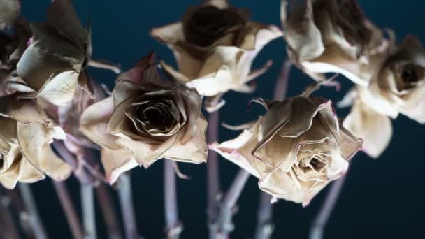 干玫瑰花蕾高清 — 图库视频影像