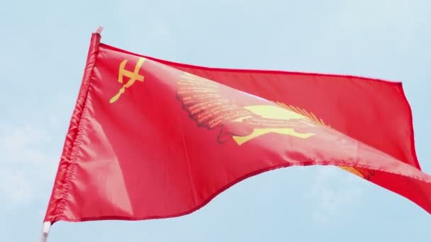 Bandera de URSS HD — Vídeo de stock