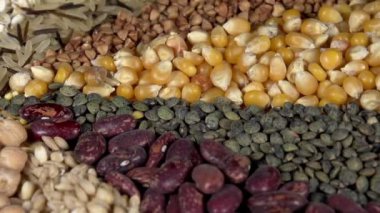 Bitkileri Çeşitlilik Hd