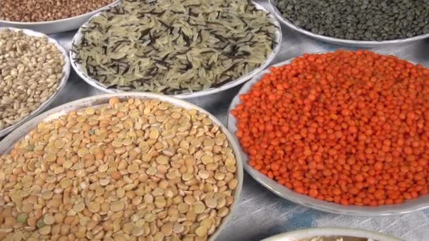Crop of Cereals and Legumes HD — Stock Video