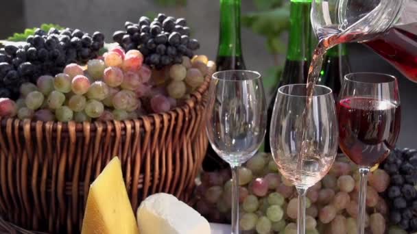 Festival of Young Wine HD — Stock Video