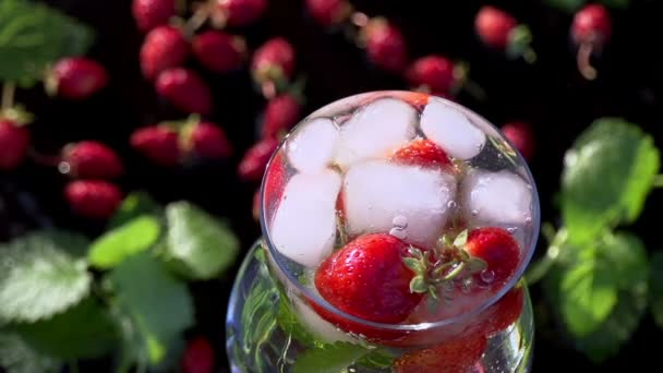 Eiswürfel fallen ins Beeren-Getränk — Stockvideo