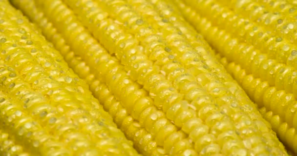 Juicy Corn in Water Drops 4K — Stock Video