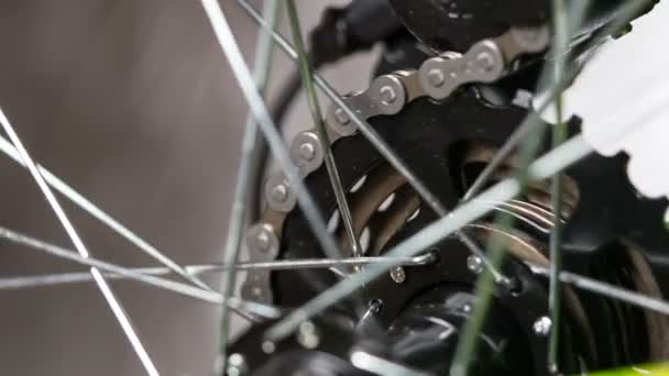 Bicycle preparation for the season — Stock Video