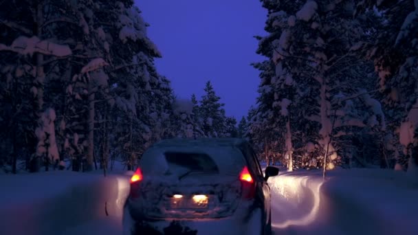 Coche Conducción Carretera Noche Bosque Invierno — Vídeos de Stock