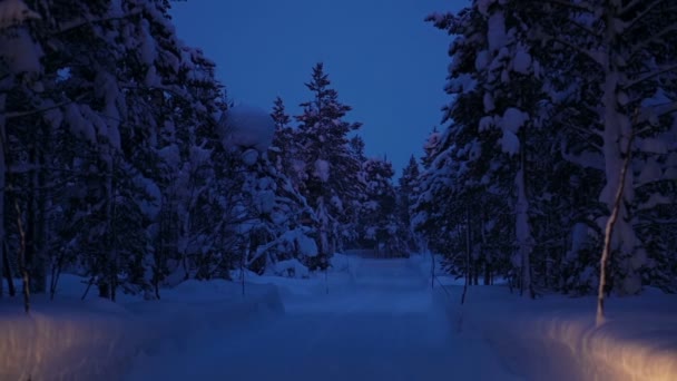 Машина Едет Ночному Зимнему Лесу — стоковое видео