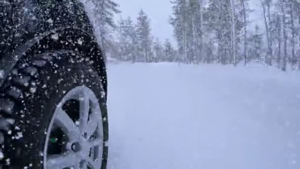 Queda Neve Condução Estrada Floresta Inverno — Vídeo de Stock