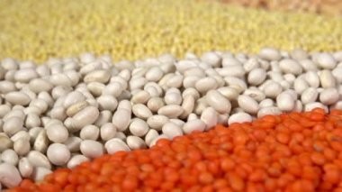 Çok Renkli Hasat Hd