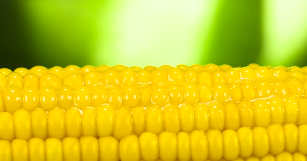 Só csepp a Hot Corn 4k — Stock videók