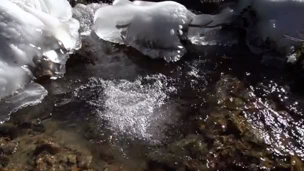 Заморожені берег крик HD — стокове відео