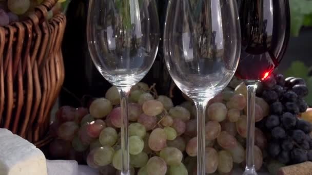 Festival del vino HD — Video Stock