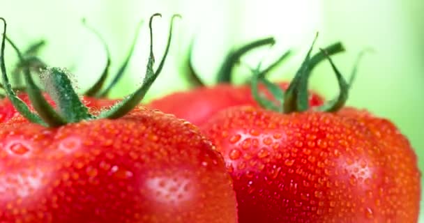 Veel rijpe tomaten 4k — Stockvideo