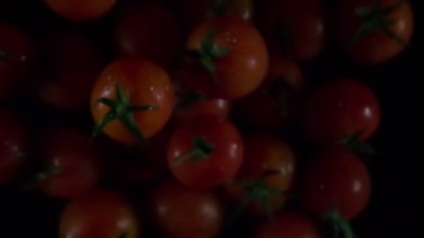 Malá čerstvá rajčata — Stock video