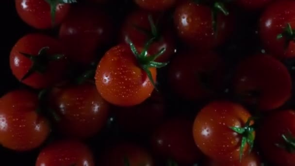 Tomaten gegooid — Stockvideo