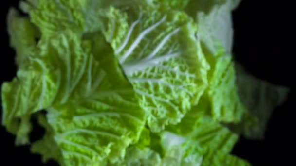 Leaves of chinese cabbage — Stock Video