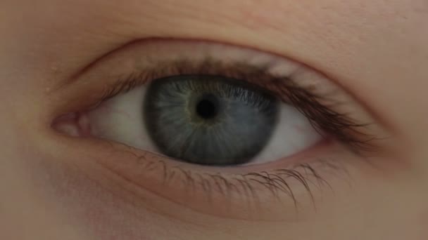 Modifying of the eye — Stock Video