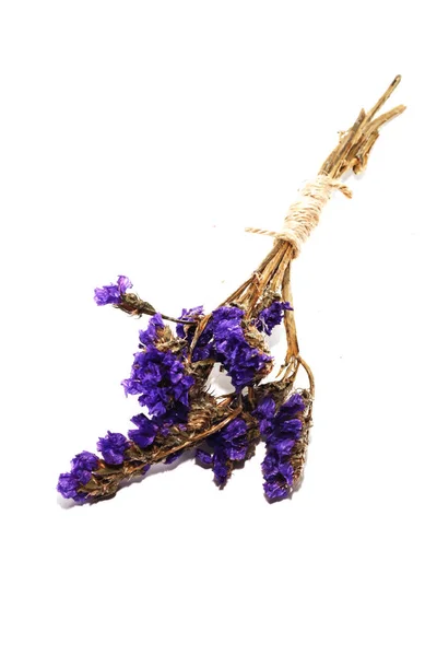 Beyaz arka plan üzerinde dekorasyon için tek mor statice çiçek arka plan kullanın