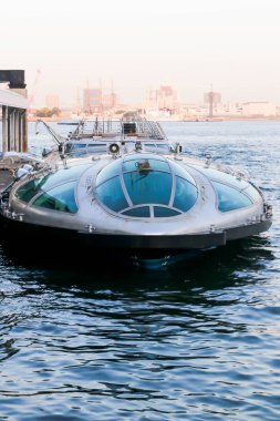 Tokyo'daki sumida nehir bakış açısı tek teknede manzara