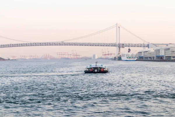 Grande Barca Singola Sumida Punto Vista Del Fiume Tokyo — Foto Stock