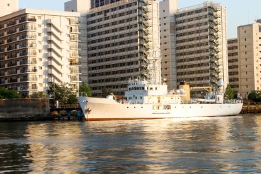 Tokyo 'daki Sumida Nehri' nde büyük bir tekne.