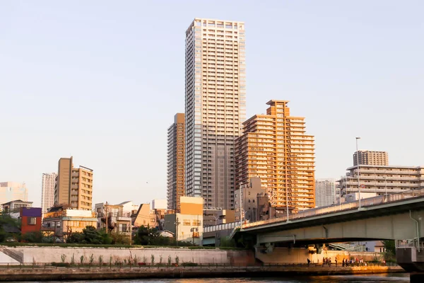 東京の都市景観墨田川の視点 — ストック写真