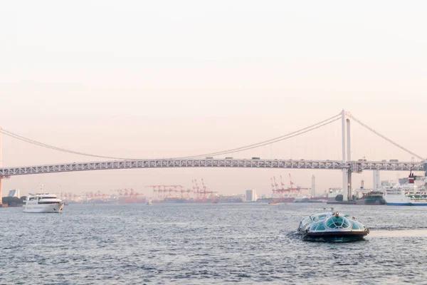 Utsikt Över Regnbågsbron Och Båt Sumida Floden Viewpoint Tokyo — Stockfoto