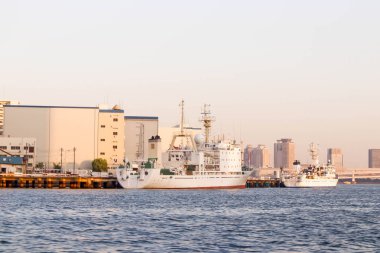 Tokyo, Japonya 'daki Sumida Nehri' ndeki iki teknenin görüntüsü