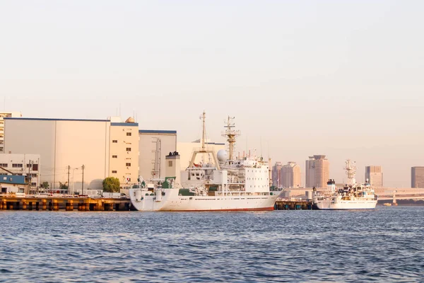 Tokyo, Japonya 'daki Sumida Nehri' ndeki iki teknenin görüntüsü