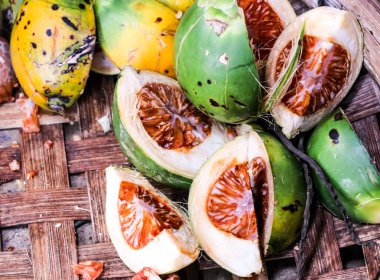 Ahşap üzerinde dilim Closeuo Betel fındık taze betel palmiye