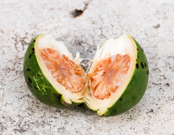 Closeup tembul fındık taze tembul yarısı yerde palmiye