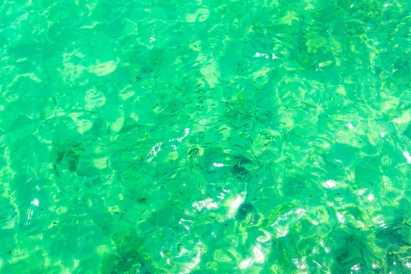 Zblízka Zelené Moře Malou Rybičkou Thajsku — Stock fotografie