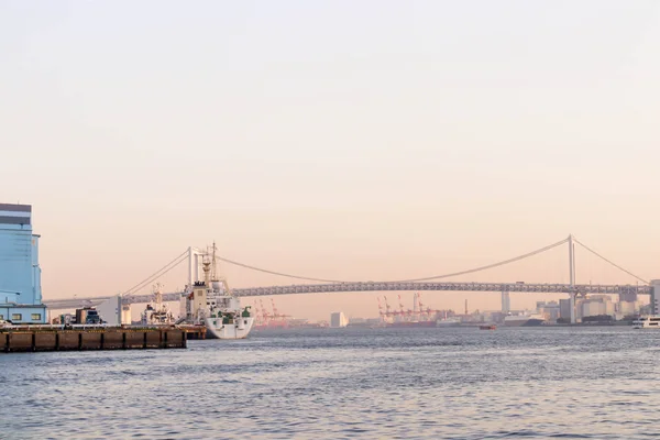 Szivárvány Híd Sumida Folyó Nézőpont Tokyo Japán — Stock Fotó