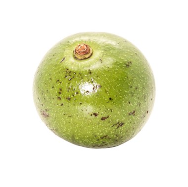 Closeup tek beyaz zemin üzerine yeşil Tay avokado