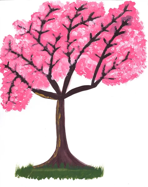 Desenho Mão Cor Pôster Ilustração Sakura Tree — Fotografia de Stock