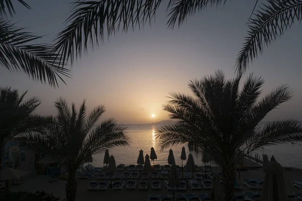 Sunset at sea or ocean on an evening sandy beach with palm trees and sun loungers -