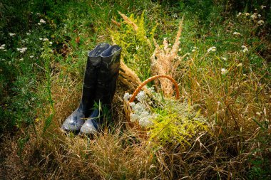 Altın kum yaz arka plan