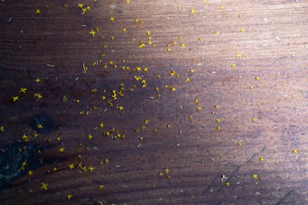 Fundo Madeira Velha Marrom Pequenas Flores Amarelas Espalhadas Nele — Fotografia de Stock