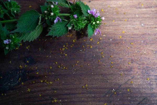 Ένα Κλαδί Μέντας Μικρά Μωβ Λουλούδια Ένα Σκούρο Καφέ Τραπέζι — Φωτογραφία Αρχείου