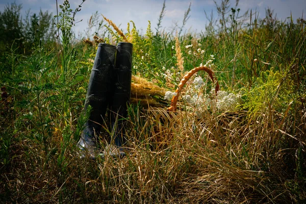 Black rubber boots stand in tall meadow grass. Nearby is a basket with cut wildflowers. The blue sky is visible in the upper third. Horizontal orientation