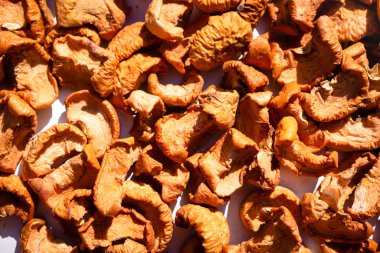 Kurutulmuş elma. Parlak turuncu renk. Güneşin üzerinde. Yatay yönlendirme