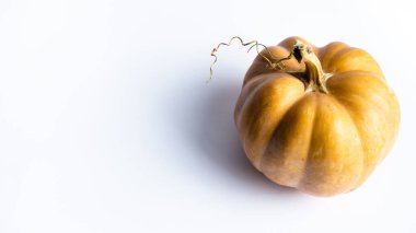 Beyaz arka planda spiral ile süslenmiş turuncu balkabağı. Sağlıklı bir vegan menüsü için Cadılar Bayramı sembolü ve içeriği