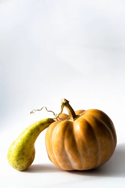 Par Fruta Conferencia Pera Otoño Calabaza Naranja Con Cola Seca —  Fotos de Stock