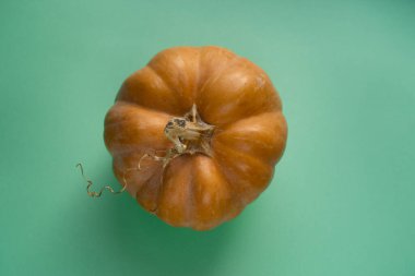 Açık yeşil arkaplanda olgun balkabağı manzarası. Şükran Günü 'nde bayram yemeği için sonbahar süslemesi.
