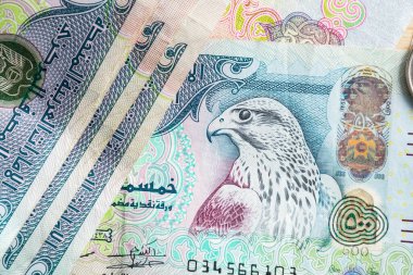 BAE 'nin kapatılması 500 dirhem banknot ve kağıt para arasında