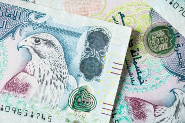 BAE 'nin Kapanışı 500 dirhem para, kağıt para