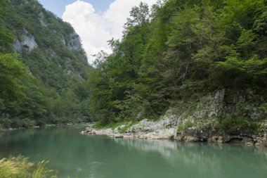 Mountain river Tara, Karadağ