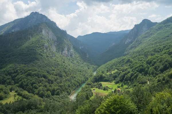 Beautiful view of green valley and canyon opens from the Djurdje